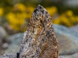Grossglocknergebiet - Stein